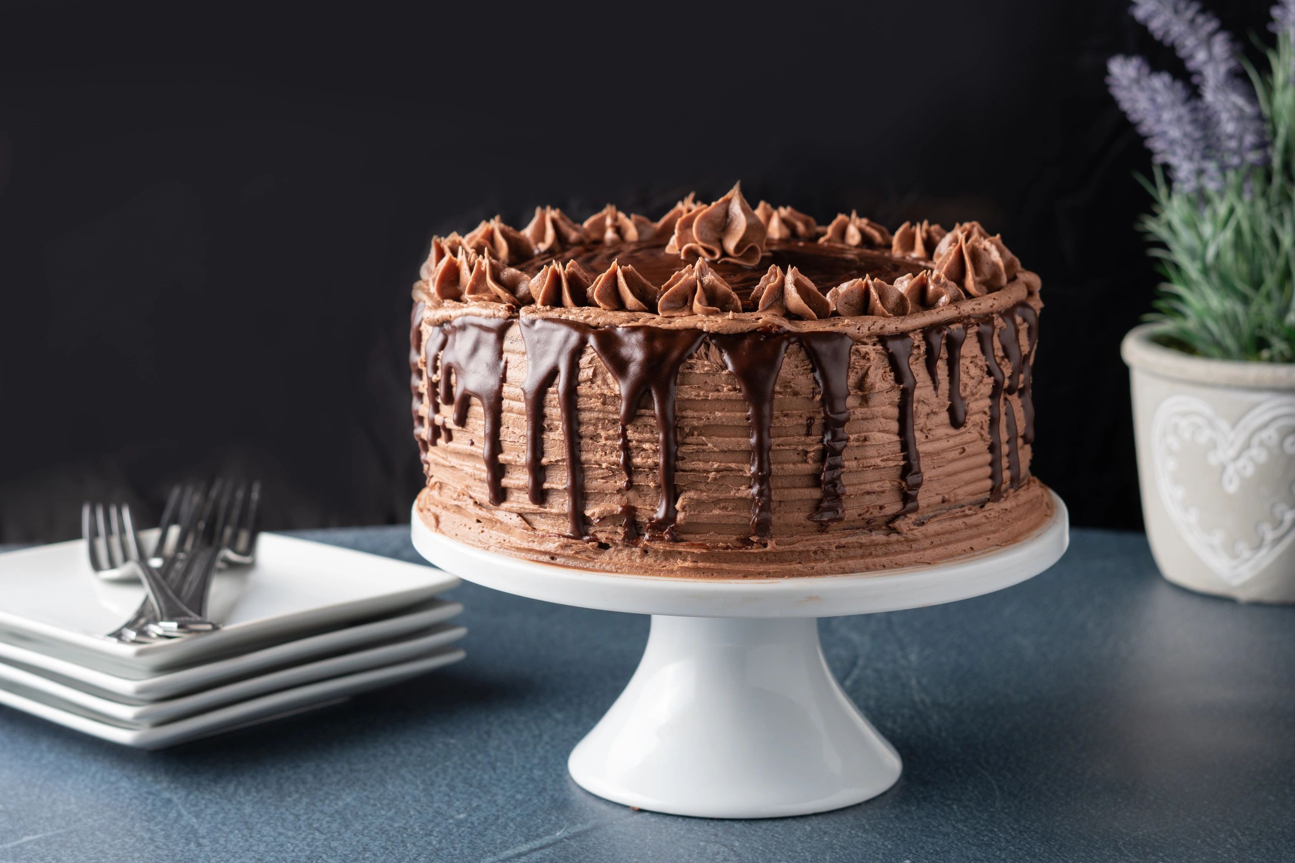 Slice of chocolate cake with ganache